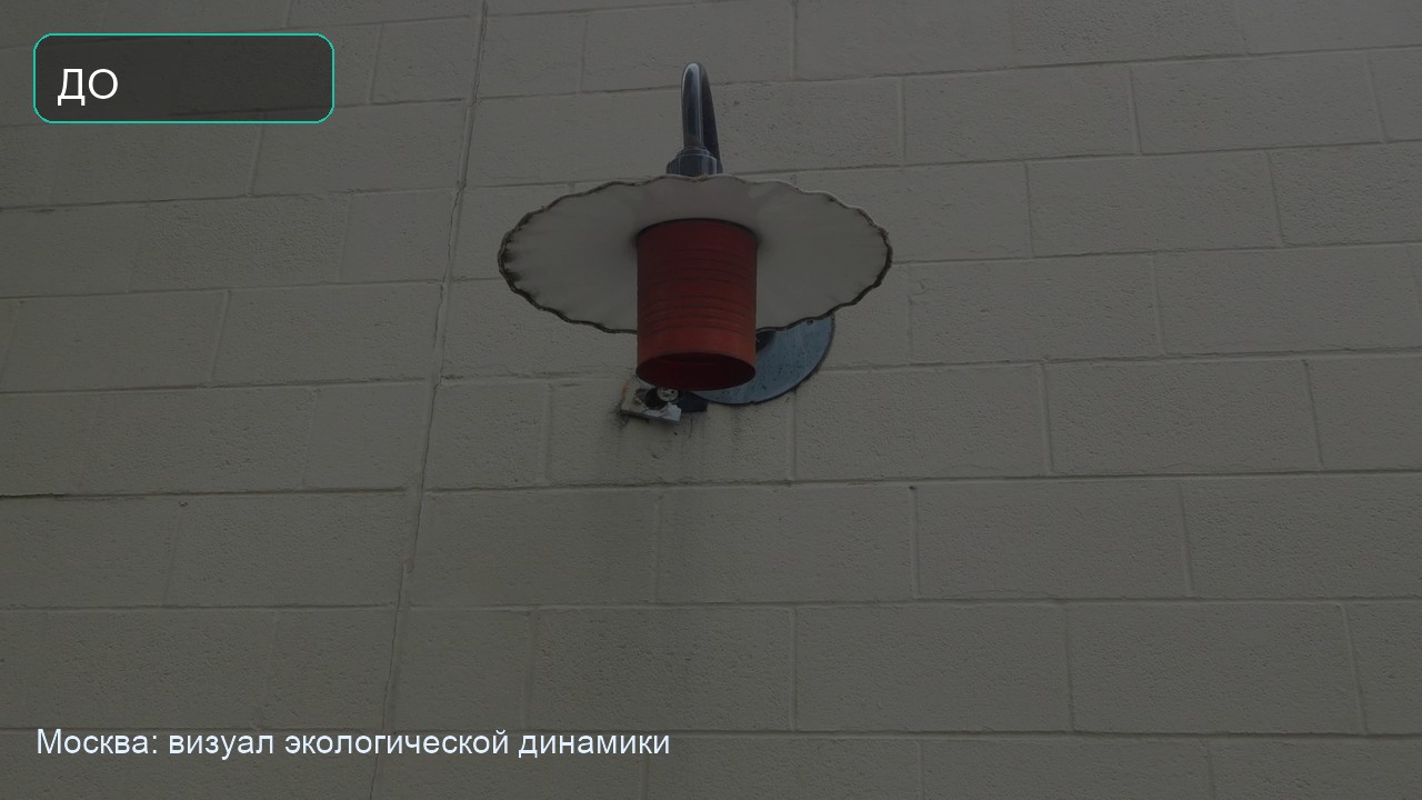 Состояние городской территории до регулярной утилизации в Москве